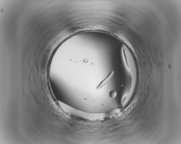 X0000059850797200511181537