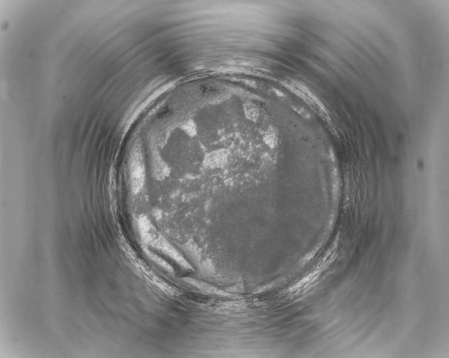 X0000059850798200511181537