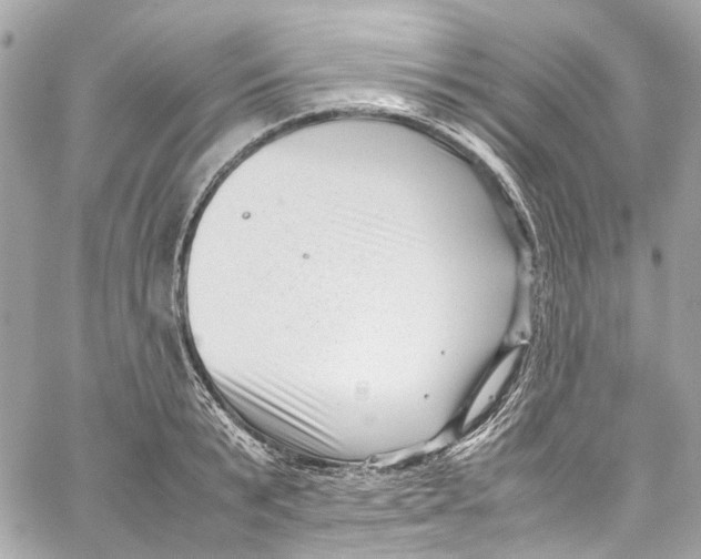 X0000059850799200511181537