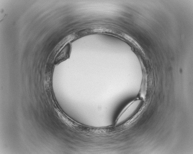 X0000059850801200511181537