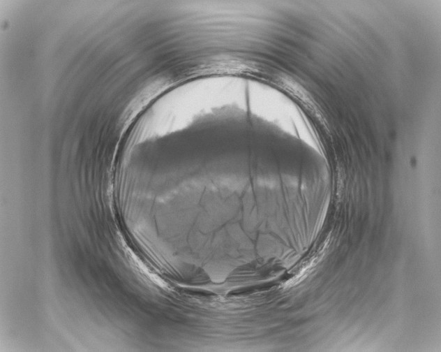 X0000059850802200511181537