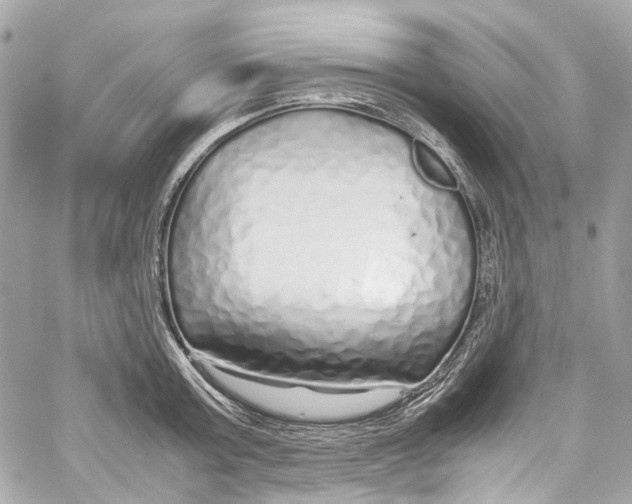 X0000059850803200511181537