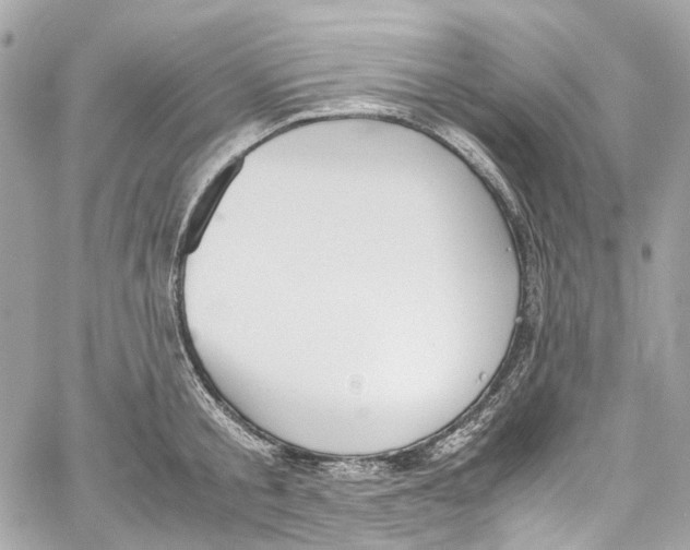 X0000059850805200511181537