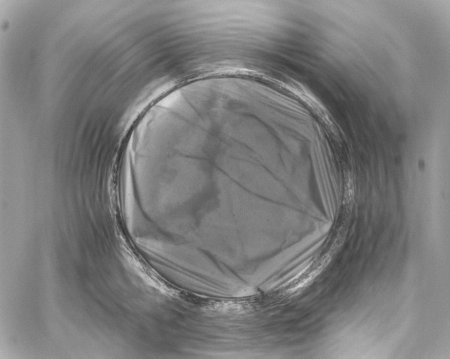 X0000059850806200511181537