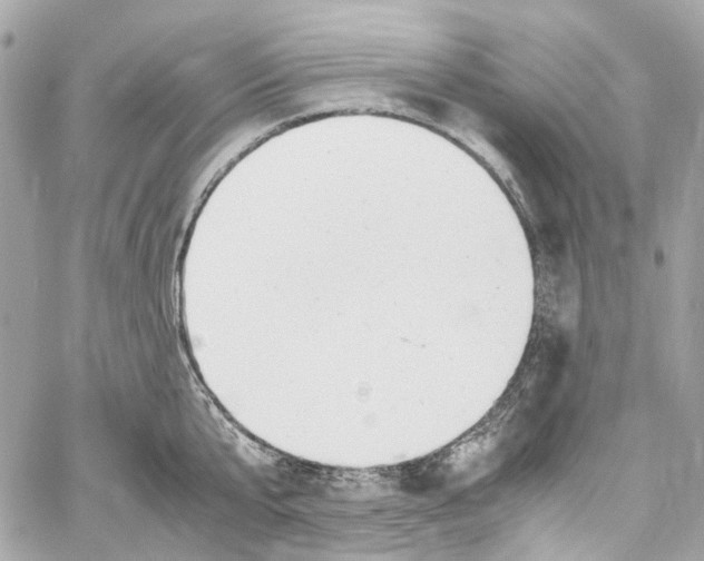 X0000059850807200511181537