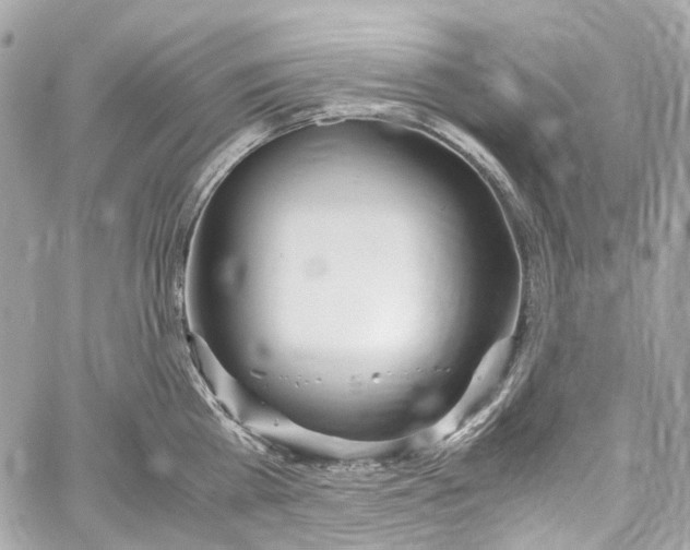 X0000059850809200511181537