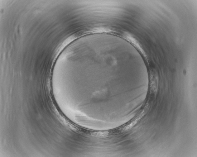 X0000059850810200511181537