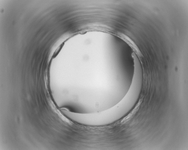 X0000059850812200511181537