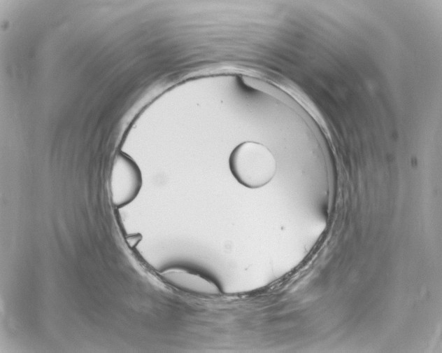 X0000059850813200511181537