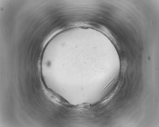 X0000059850814200511181537