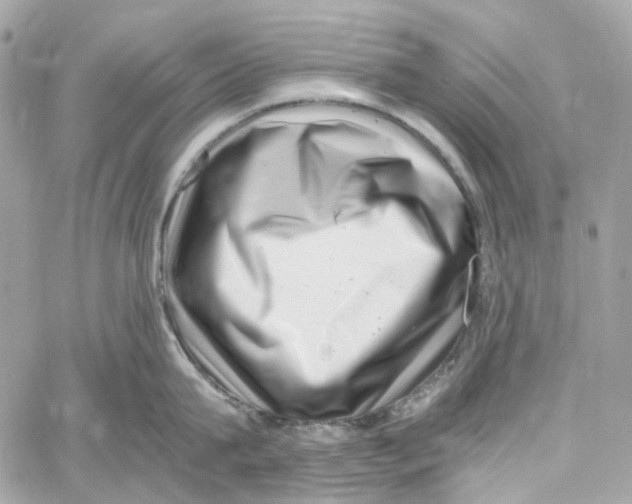 X0000059850815200511181537