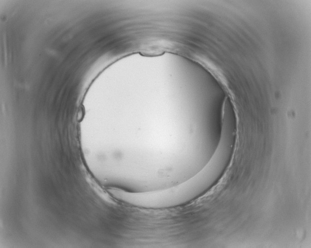 X0000059850816200511181537