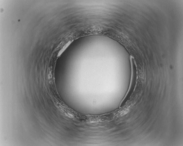 X0000059850818200511181536