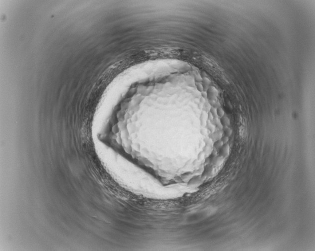 X0000059850819200511181536