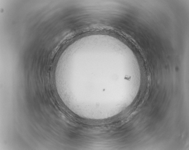 X0000059850820200511181536