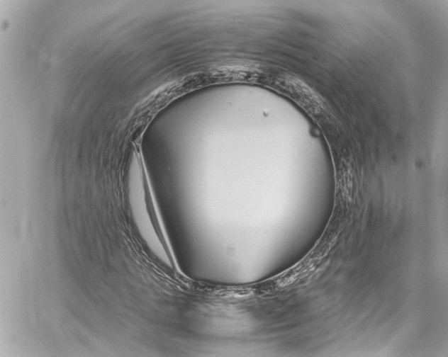 X0000059850821200511181536