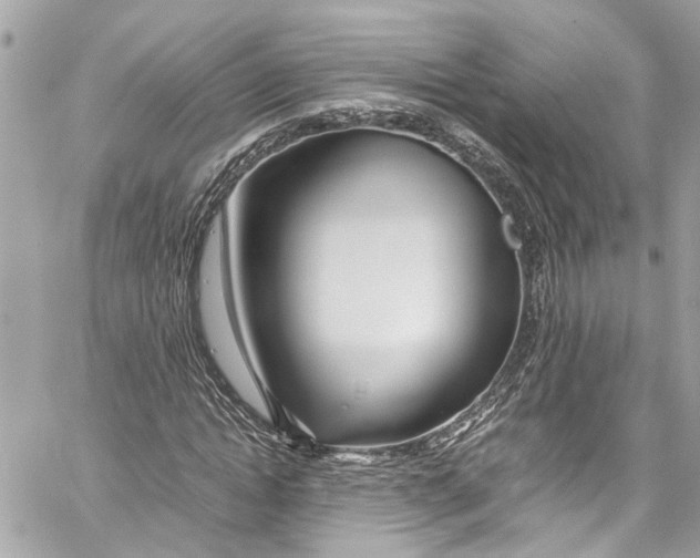 X0000059850822200511181536