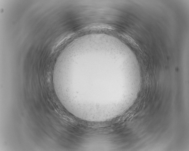 X0000059850824200511181536