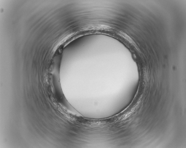 X0000059850826200511181536