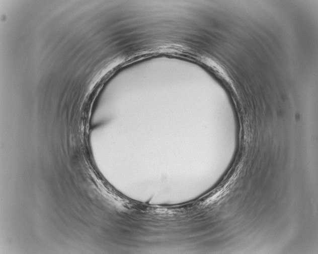 X0000059850827200511181536