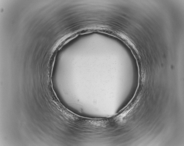 X0000059850829200511181536