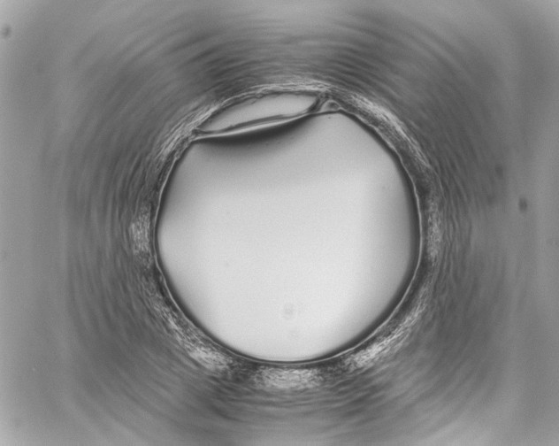 X0000059850833200511181536