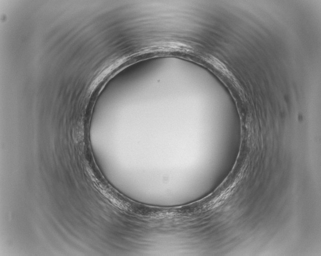 X0000059850834200511181536