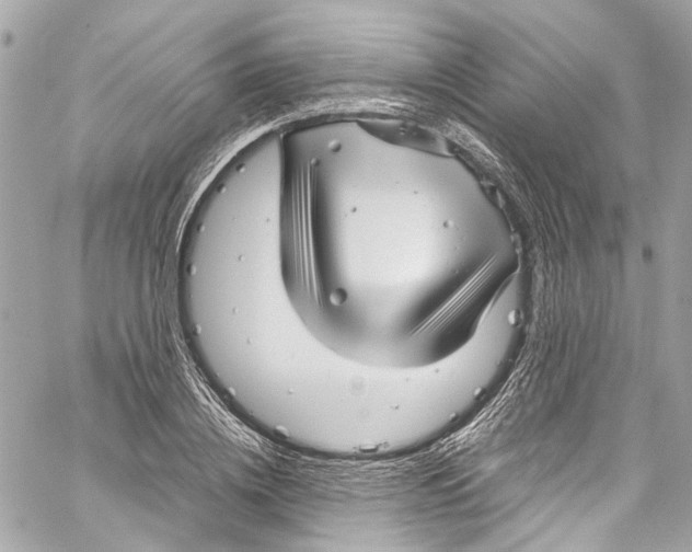 X0000059850836200511181536