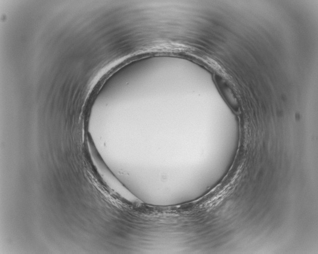 X0000059850838200511181536