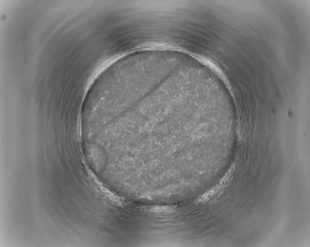 X0000059850839200511181536