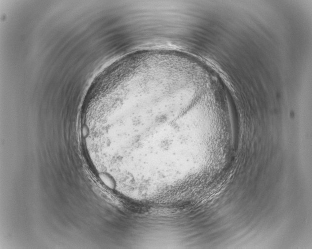 X0000059850840200511181536