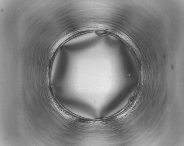 X0000059850842200511181536