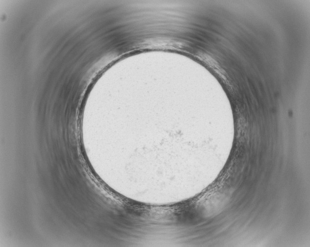 X0000059850848200511181536