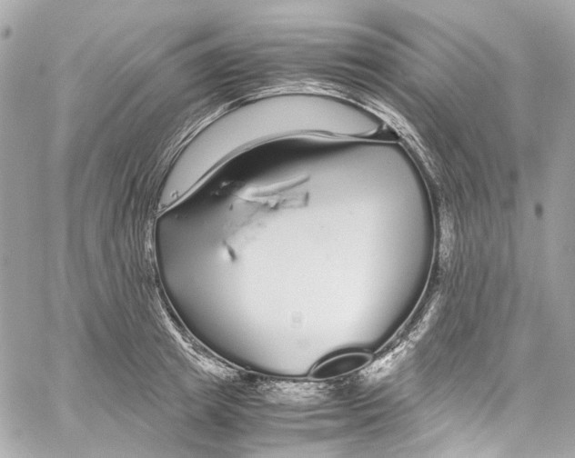 X0000059850849200511181536