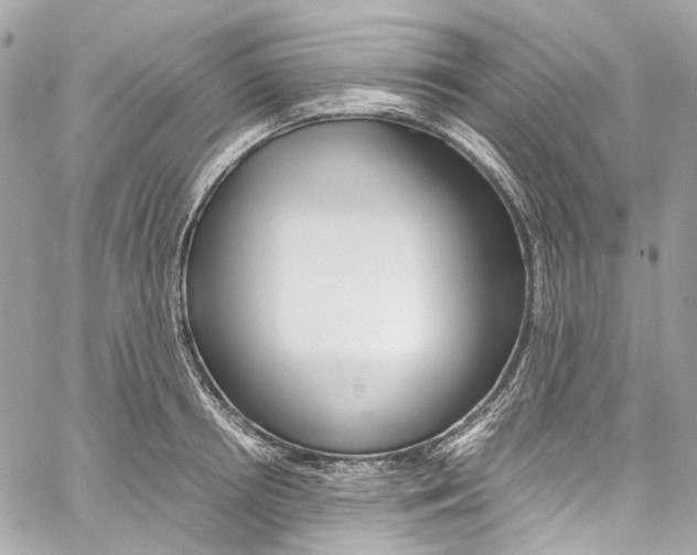 X0000059850850200511181536