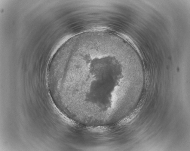 X0000059850851200511181536