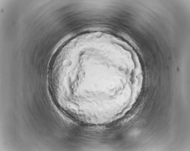 X0000059850853200511181536