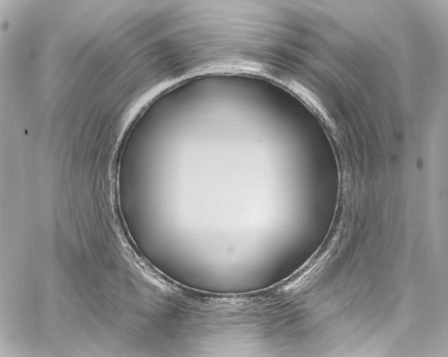 X0000059850854200511181536