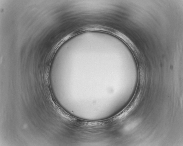 X0000059850857200511181536