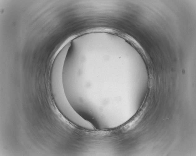 X0000059850860200511181536