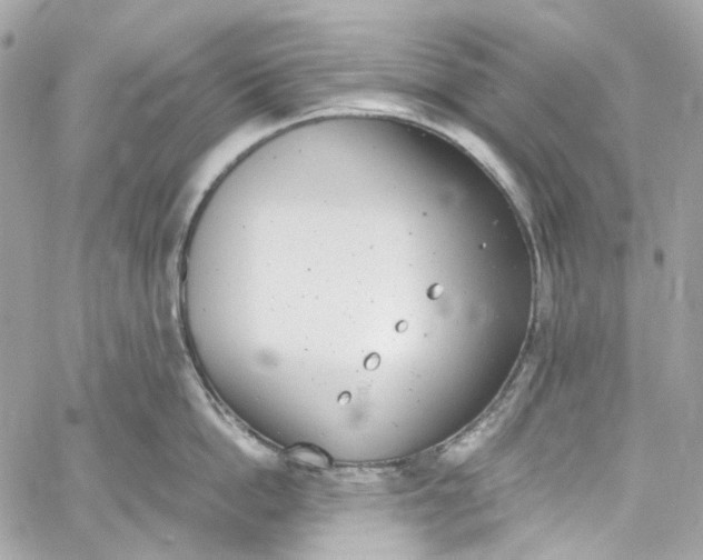 X0000059850862200511181537