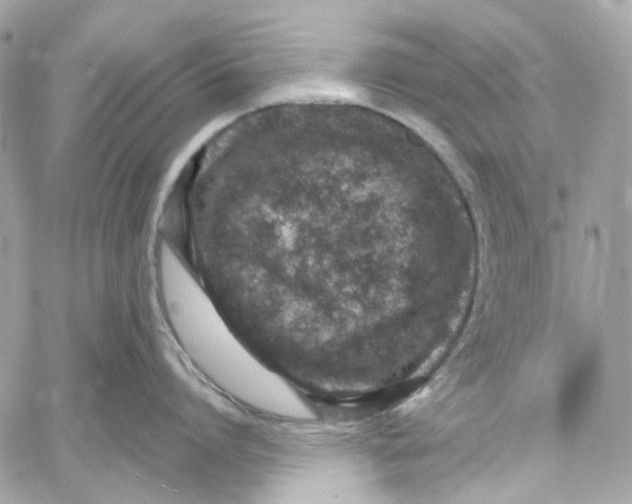 X0000059850864200511181537