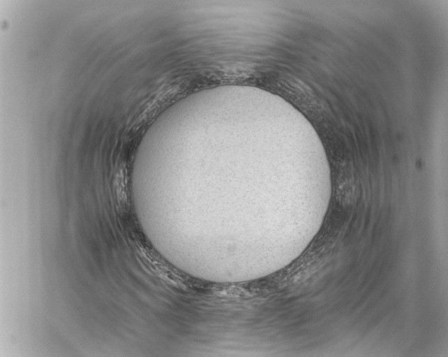 X0000059850866200511181536