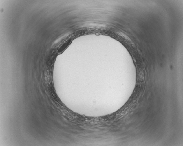 X0000059850869200511181536