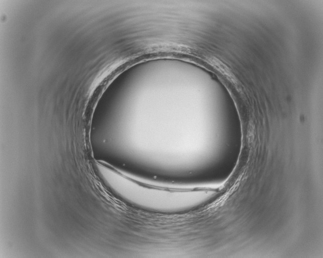 X0000059850877200511181536