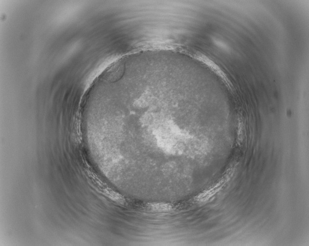 X0000059850878200511181536