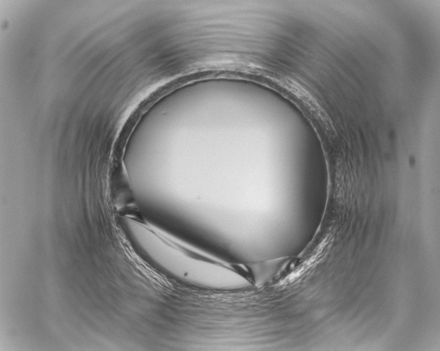 X0000059850880200511181536