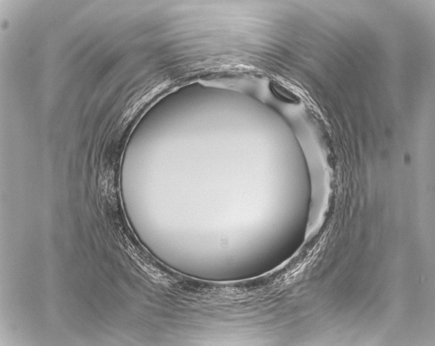 X0000059850881200511181536