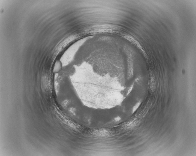 X0000059850882200511181535