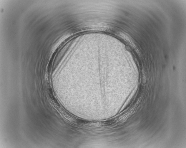 X0000059850883200511181535